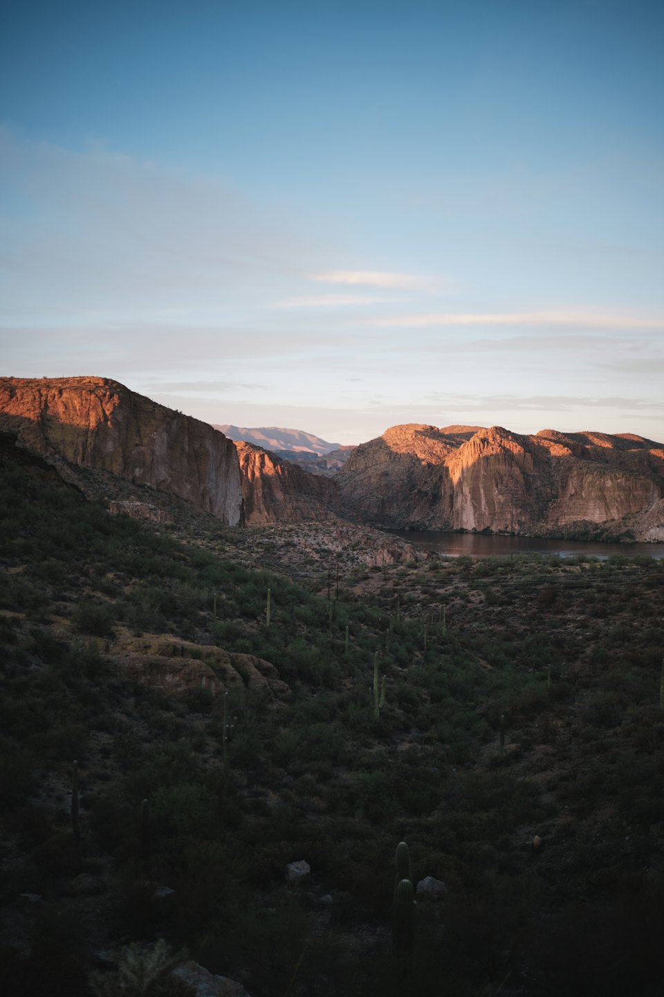 Saguaro cacti stand on desert slopes overlooking a mountain lake.